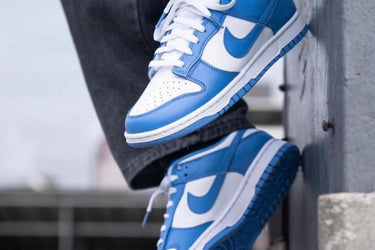 Nike Dunk Low Polar blue
